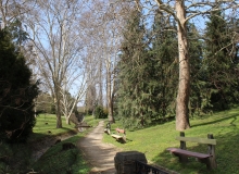 Balfi parkrészlet